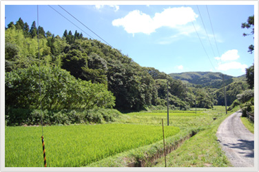 photo01
